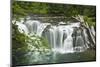 Lower Lewis Falls, Lewis River, Cougar, Washington, Usa-Michel Hersen-Mounted Photographic Print