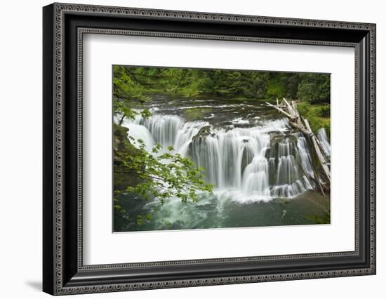 Lower Lewis Falls, Lewis River, Cougar, Washington, Usa-Michel Hersen-Framed Photographic Print