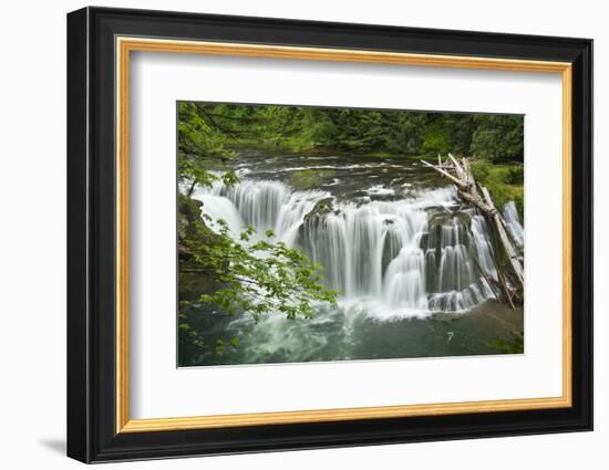 Lower Lewis Falls, Lewis River, Cougar, Washington, Usa-Michel Hersen-Framed Photographic Print