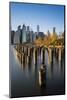 Lower Manhattan Skyline at Sunset from Brooklyn Bridge Park, Brooklyn, New York, USA-Stefano Politi Markovina-Mounted Photographic Print