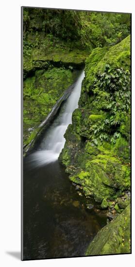 Lower Mclean Falls, Catlins, Southland South Island, New Zealand-Rainer Mirau-Mounted Photographic Print