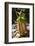 Lower Pitcher of the Carnivorous Pitcher Plant (Nepenthes Bicalcarata) Endemic to Borneo-Louise Murray-Framed Photographic Print