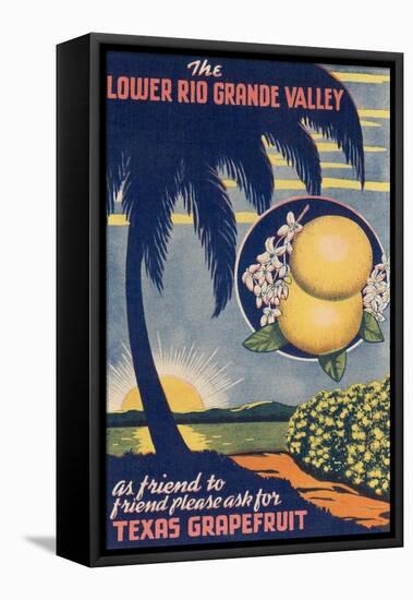Lower Rio Grande Valley Grapefruit-null-Framed Stretched Canvas