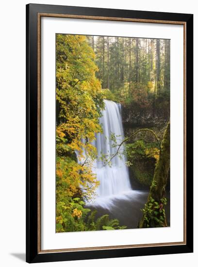 Lower South Falls, Silver Falls State Park, Oregon, USA-Jamie & Judy Wild-Framed Photographic Print