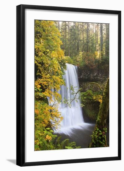 Lower South Falls, Silver Falls State Park, Oregon, USA-Jamie & Judy Wild-Framed Photographic Print