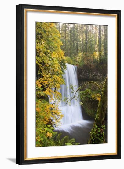 Lower South Falls, Silver Falls State Park, Oregon, USA-Jamie & Judy Wild-Framed Photographic Print