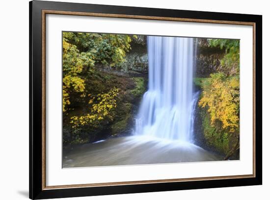 Lower South Falls, Silver Falls State Park, Oregon, USA-Jamie & Judy Wild-Framed Photographic Print