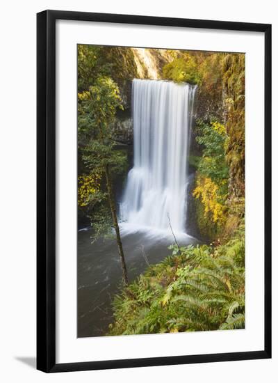 Lower South Falls, Silver Falls State Park, Oregon, USA-Jamie & Judy Wild-Framed Photographic Print