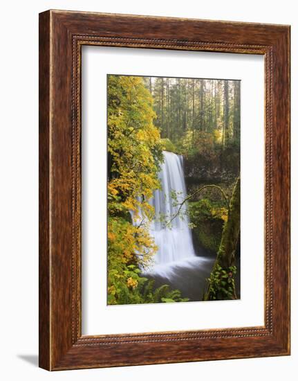 Lower South Falls, Silver Falls State Park, Oregon, USA-Jamie & Judy Wild-Framed Photographic Print