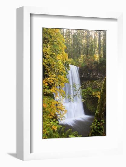 Lower South Falls, Silver Falls State Park, Oregon, USA-Jamie & Judy Wild-Framed Photographic Print