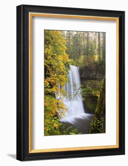 Lower South Falls, Silver Falls State Park, Oregon, USA-Jamie & Judy Wild-Framed Photographic Print