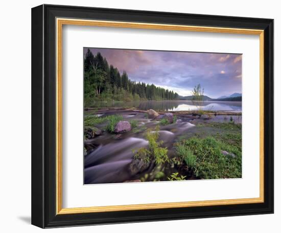 Lower Stillwater Lake in the Flathead National Forest, Montana, USA-Chuck Haney-Framed Premium Photographic Print