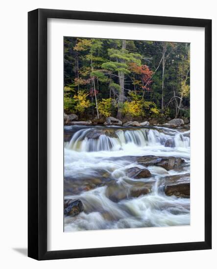 Lower Swift River Falls, White Mountains, New Hampshire, USA-Dennis Flaherty-Framed Photographic Print