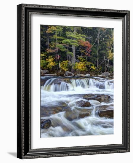 Lower Swift River Falls, White Mountains, New Hampshire, USA-Dennis Flaherty-Framed Photographic Print