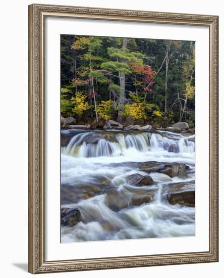 Lower Swift River Falls, White Mountains, New Hampshire, USA-Dennis Flaherty-Framed Photographic Print