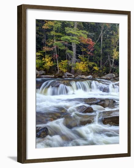 Lower Swift River Falls, White Mountains, New Hampshire, USA-Dennis Flaherty-Framed Photographic Print