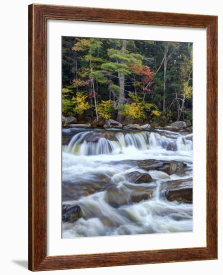 Lower Swift River Falls, White Mountains, New Hampshire, USA-Dennis Flaherty-Framed Photographic Print