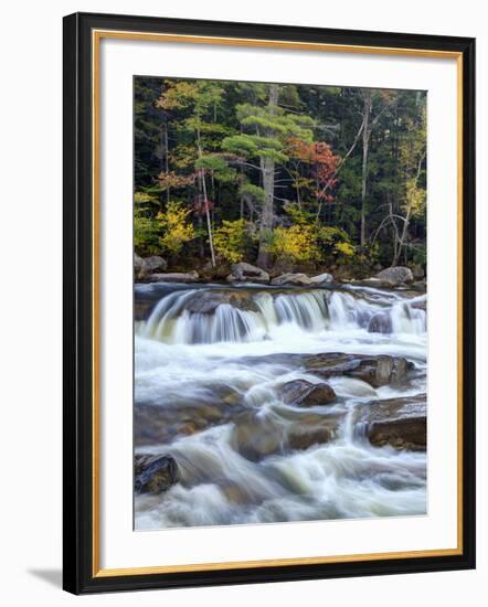 Lower Swift River Falls, White Mountains, New Hampshire, USA-Dennis Flaherty-Framed Photographic Print