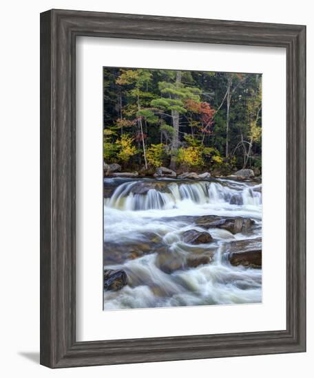 Lower Swift River Falls, White Mountains, New Hampshire, USA-Dennis Flaherty-Framed Photographic Print