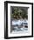 Lower Swift River Falls, White Mountains, New Hampshire, USA-Dennis Flaherty-Framed Photographic Print