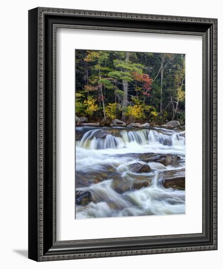 Lower Swift River Falls, White Mountains, New Hampshire, USA-Dennis Flaherty-Framed Photographic Print