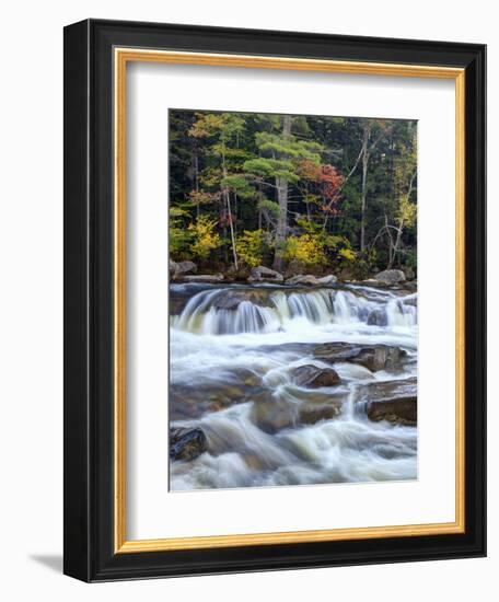 Lower Swift River Falls, White Mountains, New Hampshire, USA-Dennis Flaherty-Framed Photographic Print