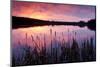 Lower Tamar Lake, North Cornwall / Devon border, UK-Ross Hoddinott / 2020VISION-Mounted Photographic Print