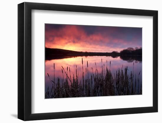 Lower Tamar Lake, north Cornwall/Devon border, UK-Ross Hoddinott / 2020VISION-Framed Photographic Print