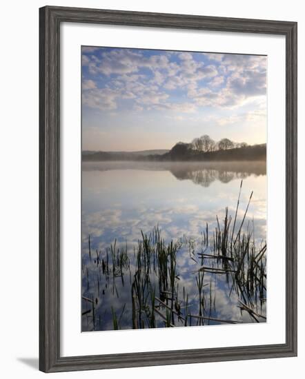 Lower Tamar Lake, North Devon Cornwall Border, UK-Ross Hoddinott-Framed Photographic Print