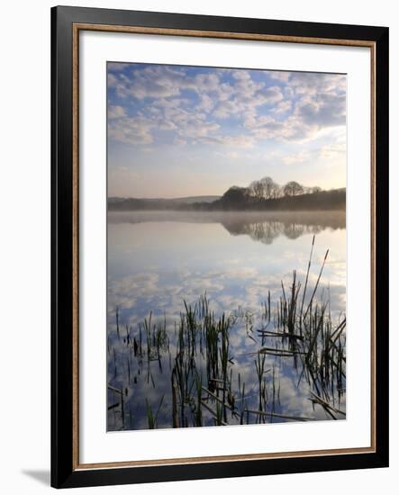 Lower Tamar Lake, North Devon Cornwall Border, UK-Ross Hoddinott-Framed Photographic Print