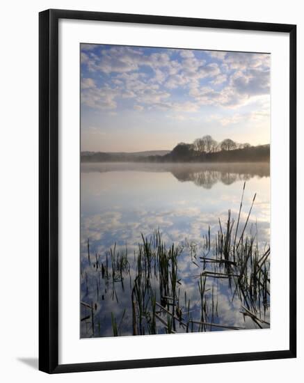 Lower Tamar Lake, North Devon Cornwall Border, UK-Ross Hoddinott-Framed Photographic Print