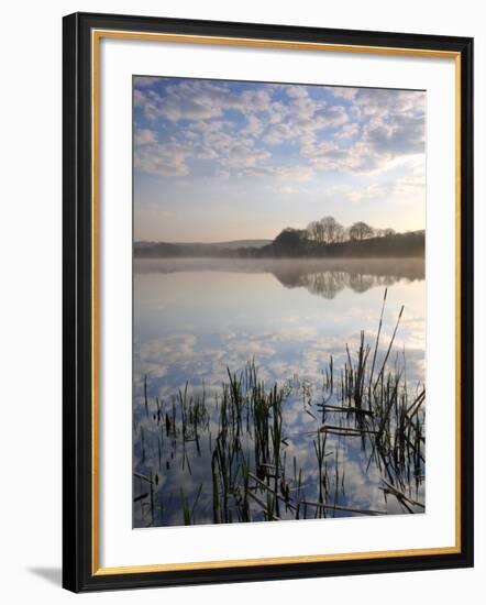 Lower Tamar Lake, North Devon Cornwall Border, UK-Ross Hoddinott-Framed Photographic Print