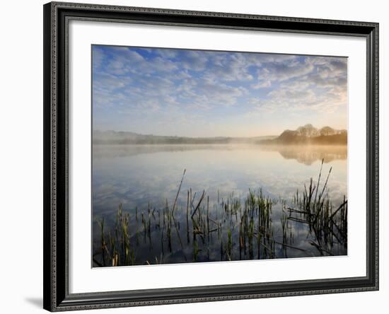 Lower Tamar Lake, North Devon Cornwall Border, UK-Ross Hoddinott-Framed Photographic Print