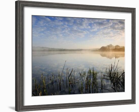 Lower Tamar Lake, North Devon Cornwall Border, UK-Ross Hoddinott-Framed Photographic Print