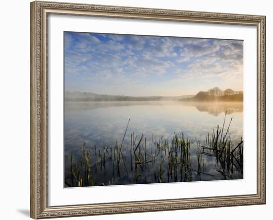 Lower Tamar Lake, North Devon Cornwall Border, UK-Ross Hoddinott-Framed Photographic Print