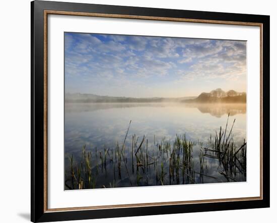 Lower Tamar Lake, North Devon Cornwall Border, UK-Ross Hoddinott-Framed Photographic Print