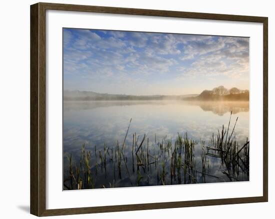 Lower Tamar Lake, North Devon Cornwall Border, UK-Ross Hoddinott-Framed Photographic Print