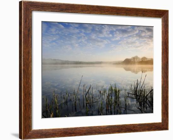 Lower Tamar Lake, North Devon Cornwall Border, UK-Ross Hoddinott-Framed Photographic Print