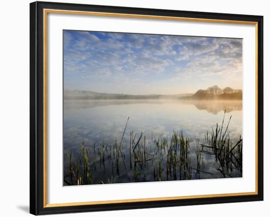 Lower Tamar Lake, North Devon Cornwall Border, UK-Ross Hoddinott-Framed Photographic Print