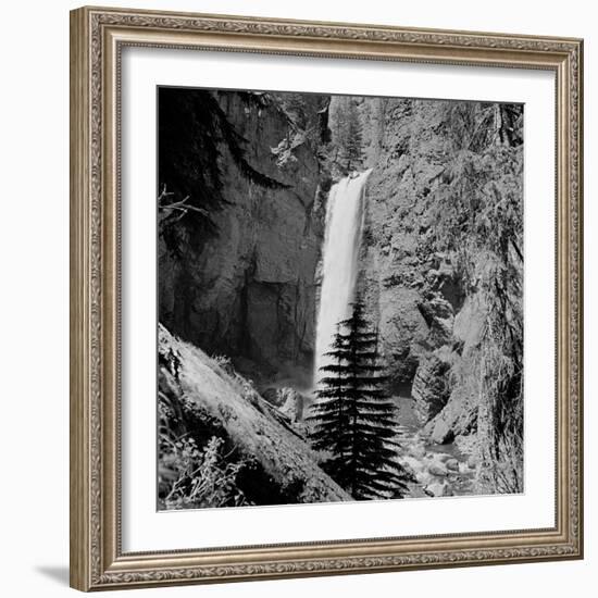 Lower Waterfall of the Yellowstone River in Yellowstone National Park-Alfred Eisenstaedt-Framed Photographic Print