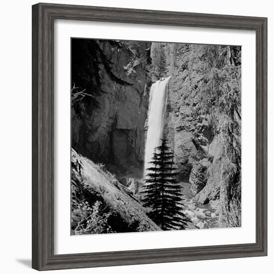 Lower Waterfall of the Yellowstone River in Yellowstone National Park-Alfred Eisenstaedt-Framed Photographic Print