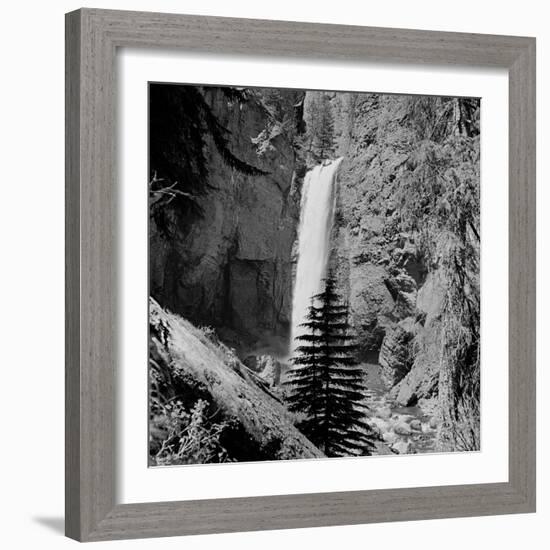 Lower Waterfall of the Yellowstone River in Yellowstone National Park-Alfred Eisenstaedt-Framed Photographic Print