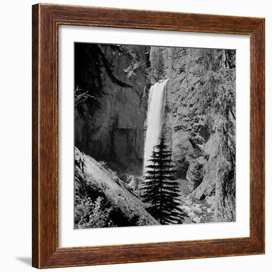 Lower Waterfall of the Yellowstone River in Yellowstone National Park-Alfred Eisenstaedt-Framed Photographic Print