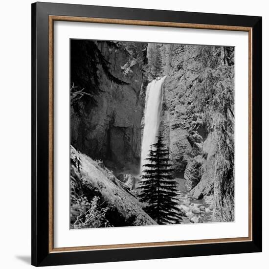 Lower Waterfall of the Yellowstone River in Yellowstone National Park-Alfred Eisenstaedt-Framed Photographic Print