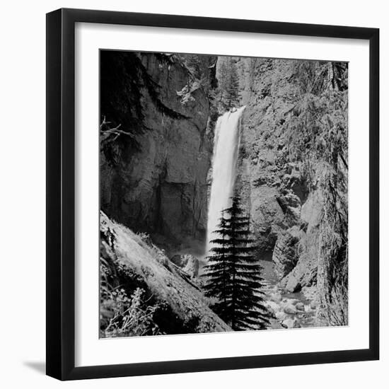 Lower Waterfall of the Yellowstone River in Yellowstone National Park-Alfred Eisenstaedt-Framed Photographic Print