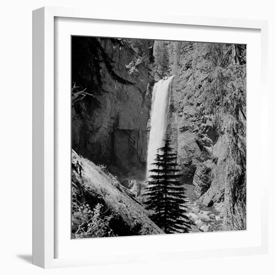 Lower Waterfall of the Yellowstone River in Yellowstone National Park-Alfred Eisenstaedt-Framed Photographic Print