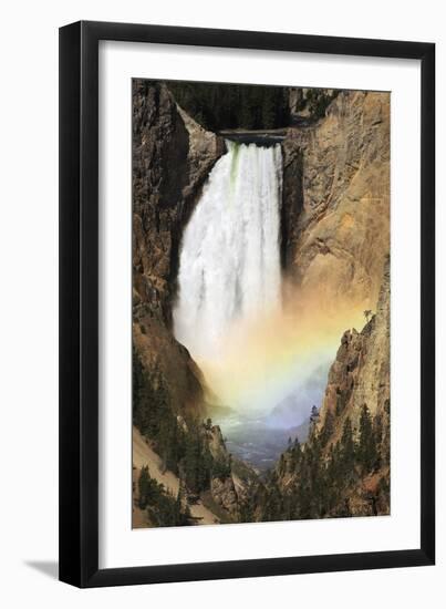 Lower Yellowstone Falls And Spray Rainbow-Paul Stewart-Framed Photographic Print