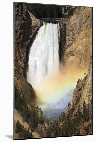 Lower Yellowstone Falls And Spray Rainbow-Paul Stewart-Mounted Photographic Print