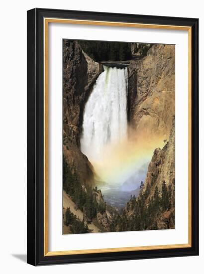 Lower Yellowstone Falls And Spray Rainbow-Paul Stewart-Framed Photographic Print
