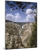 Lower Yellowstone Falls from Artists' Point, Yellowstone National Park, USA-Geoff Renner-Mounted Photographic Print